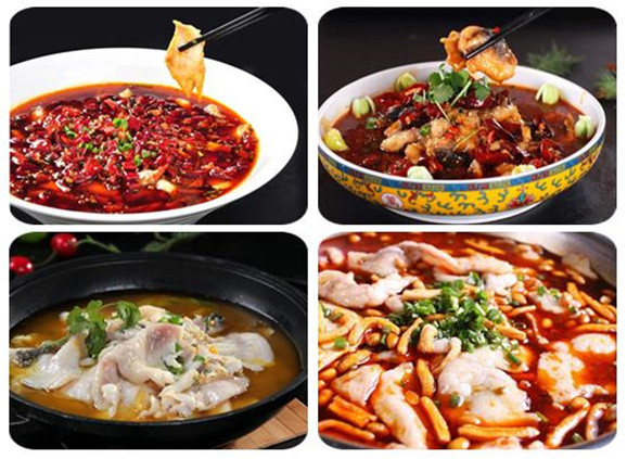 片片鱼培训,学片片鱼